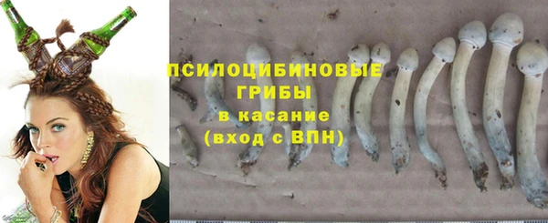 гидропоника Ростов