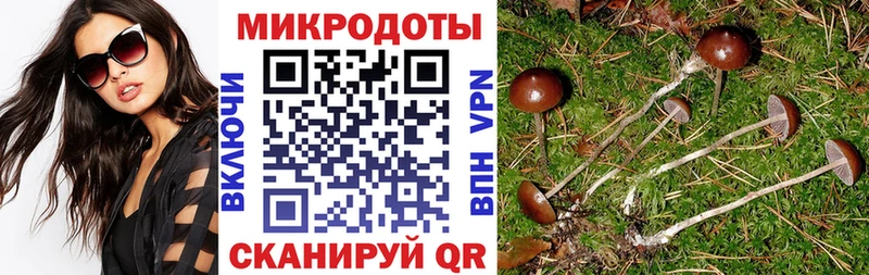 Галлюциногенные грибы Cubensis  Любим 